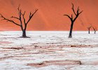 Richard Hall_Deadvlei Trees.jpg : Dead Trees, Deadvlei, Namibia